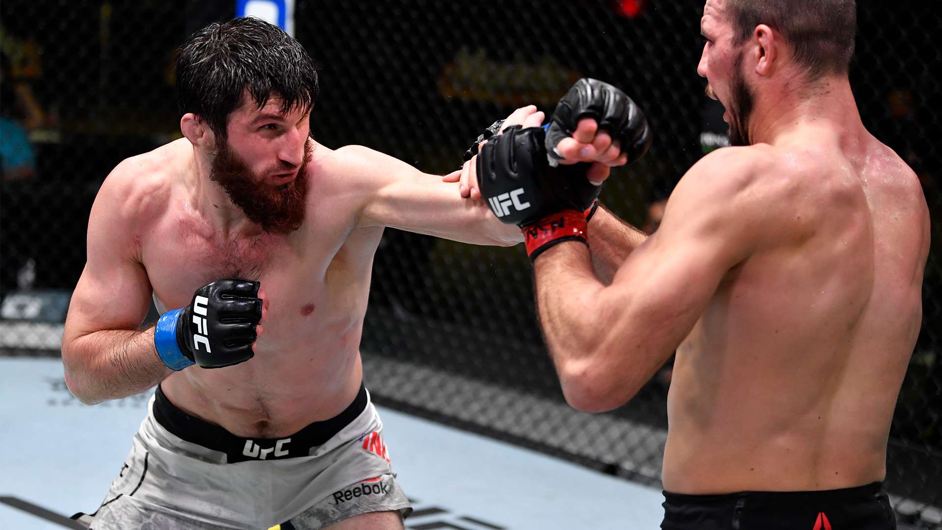 不仅增加了 不仅增加了