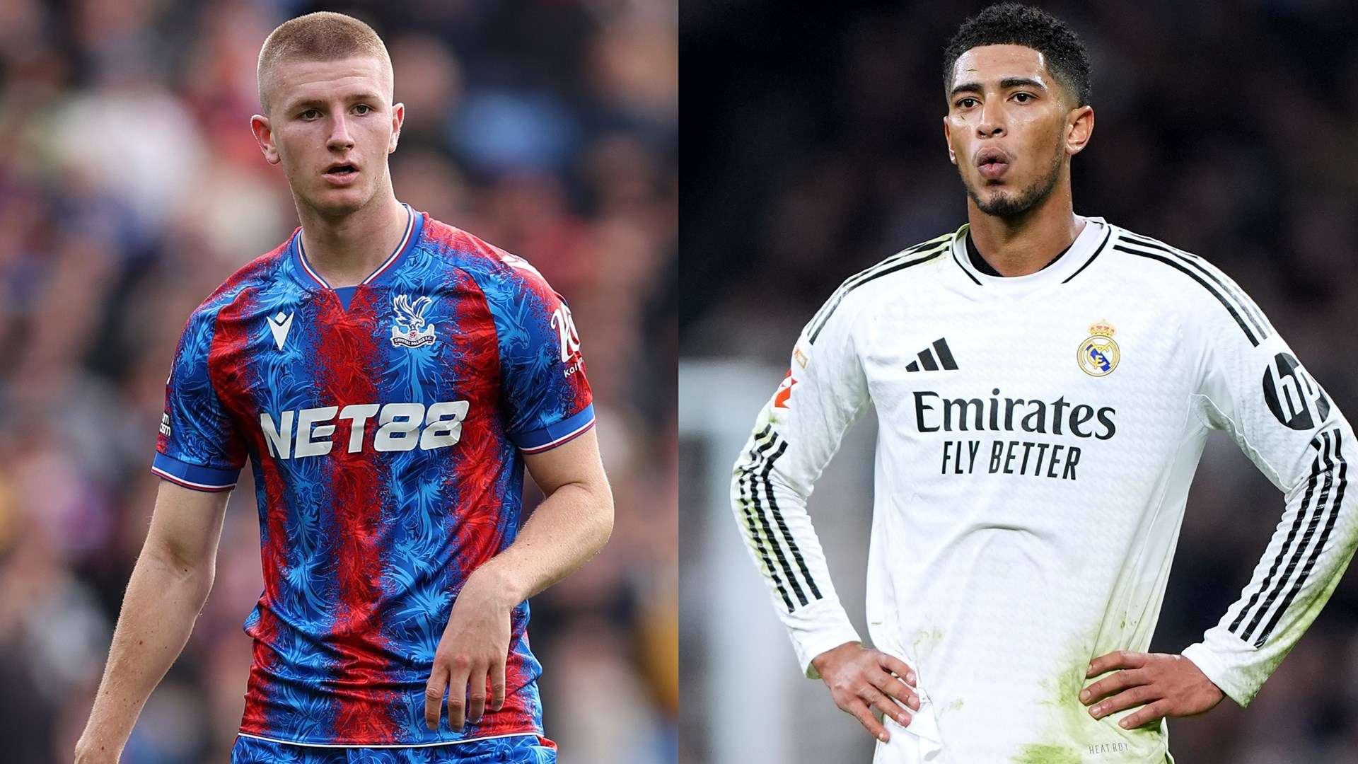 要求严格的 要求严格的